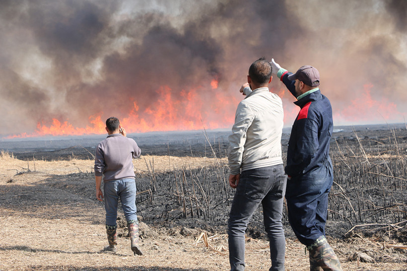 Hakkari Yüksekova'daki Nehil Sazlığı'nda Yangın - Resim : 1