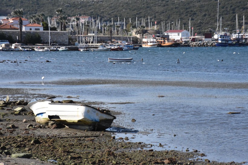 İzmir, Muğla ve İstanbul... Görüntüler Yürekleri Ağza Getirdi - Resim : 6