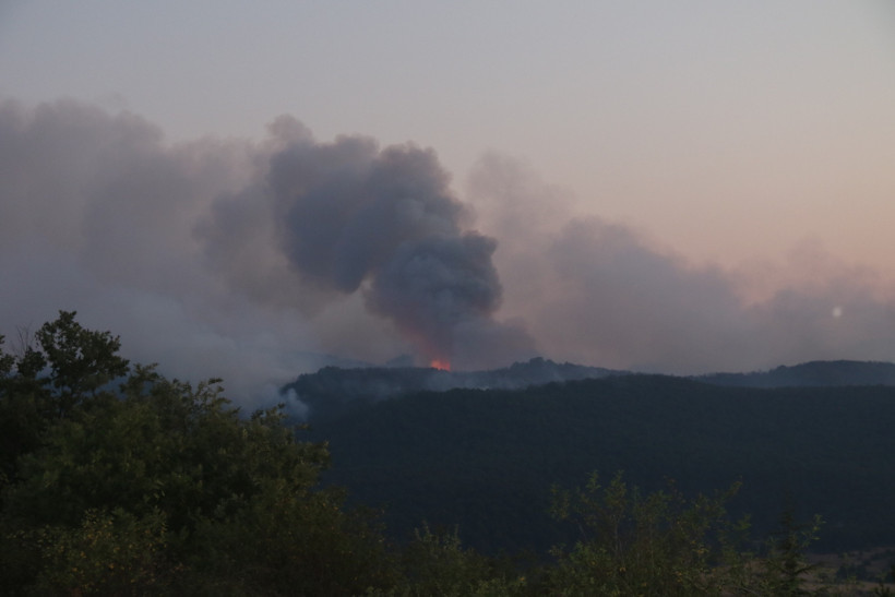 Kızıl Kabus 8 İli Sardı! Bakan Yumaklı Son Durumu Açıkladı! Sakarya'da Bir Yeni Yangın Daha - Resim : 7