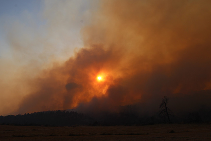 Yine Orman Yangını Çıktı: Çanakkale'de Tahliyeler Başladı - Resim : 2