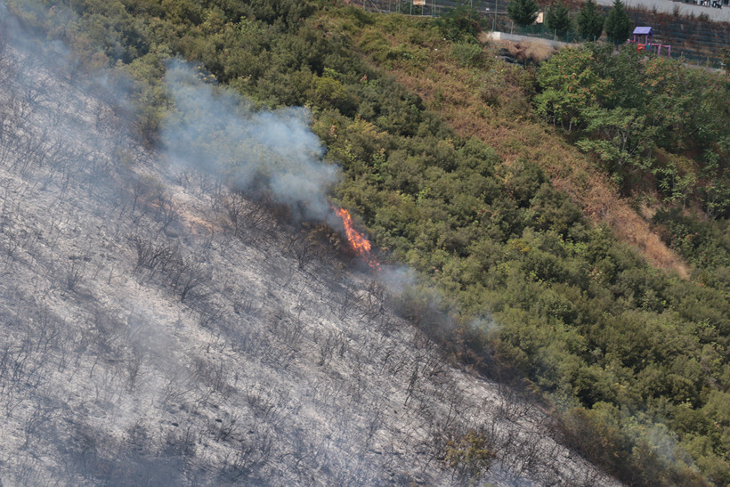 Her Gün Orman Yangını! İstanbul ve Kocaeli Söndürüldü, Diyarbakır Yine Yanıyor - Resim : 2