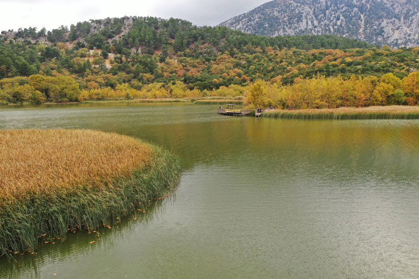 Anadolu Parsı Bile Yaşıyordu... Kovada Gölü Milli Parkı Ölmek Üzere, Durum Çok Vahim! - Resim : 6