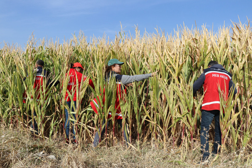 Elazığ'da Kaybolan Otizmli Veysel'den Hiçbir İz Yok! Arama Çalışmalarında Kritik Gün, Ekipler O Noktada Yoğunlaşacak - Resim : 5