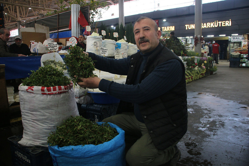 Jiletle Tek Tek Toplanıyor, Altın Değerinde Satılıyor: Sivas'ta Hasat Başladı - Resim : 2