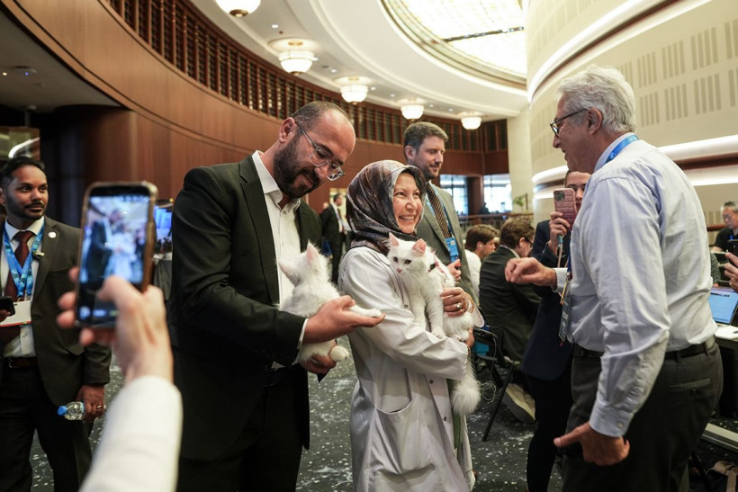 Kameralar Bu Kez Onlara Döndü: Külliye'nin Patili Dostları Lokum ve Akkız Dünya Basınının Markajında - Resim: 7