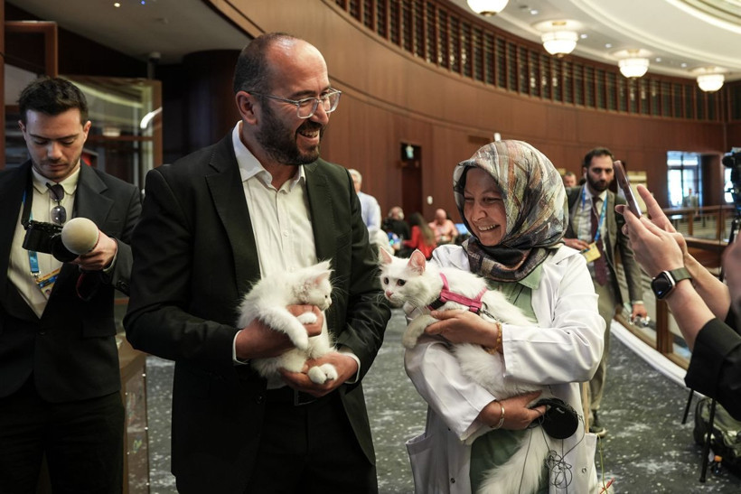 Kameralar Bu Kez Onlara Döndü: Külliye'nin Patili Dostları Lokum ve Akkız Dünya Basınının Markajında - Resim: 11