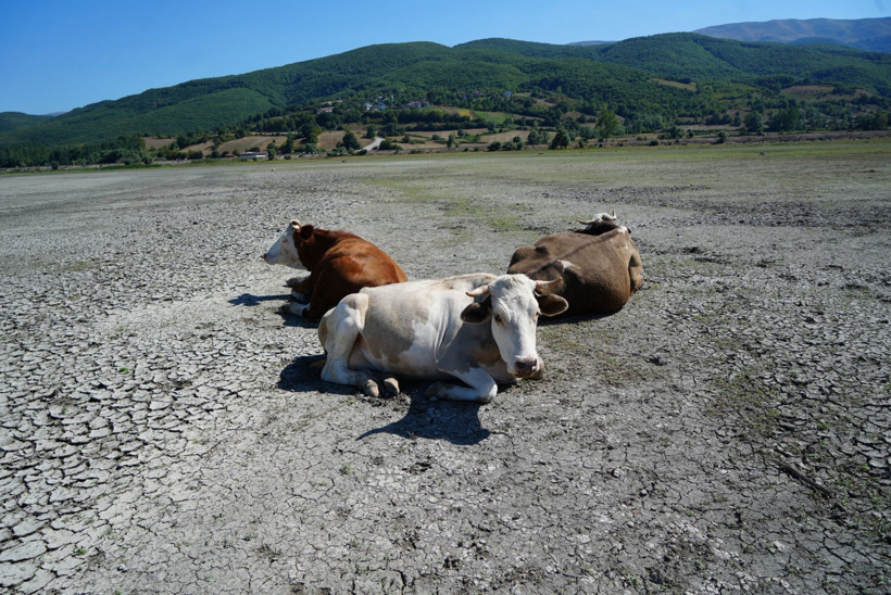 İller Farklı, Manzara Aynı: Ladik ve Beyşehir Gölleri Can Çekişiyor - Resim : 4