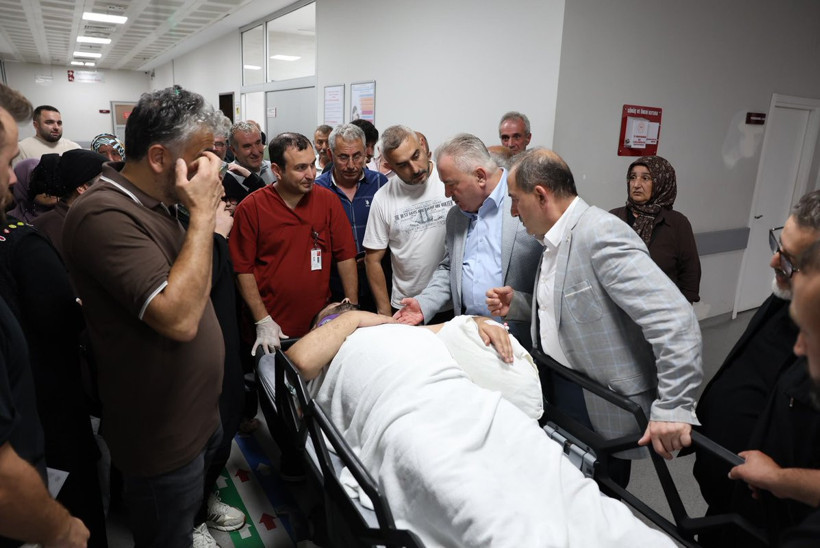 Arı Kovanlarının Bakımı İçin İskeleye Çıktı, Belediye Başkanı Hastanelik Oldu - Resim : 1