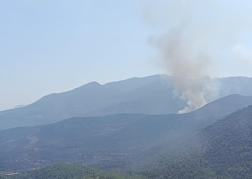 Kızıl Felaket Yine Dirildi! Muğla ve Adana'dan Sevindiren Haber Geldi - Resim : 1
