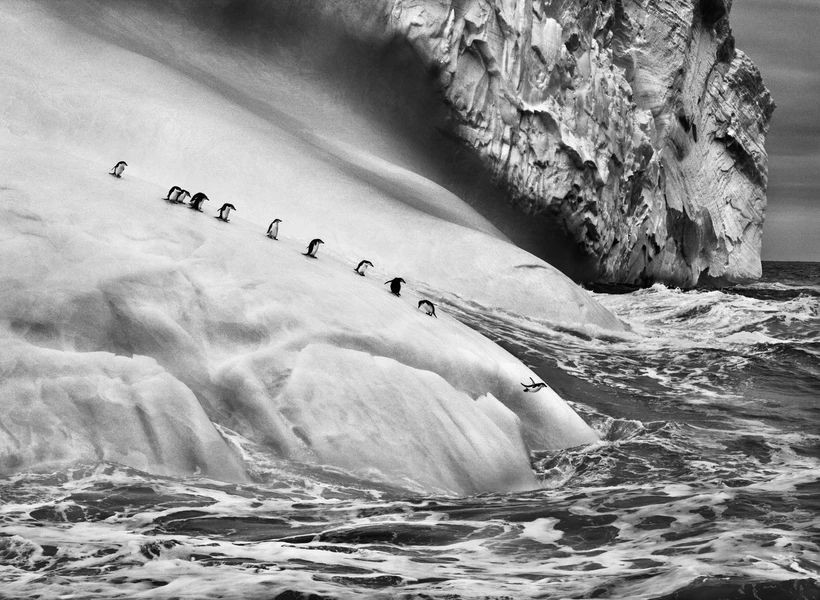 Dünyaca Ünlü Fotoğrafçı Sebastiao Salgado Hayata Veda Etti - Resim : 3