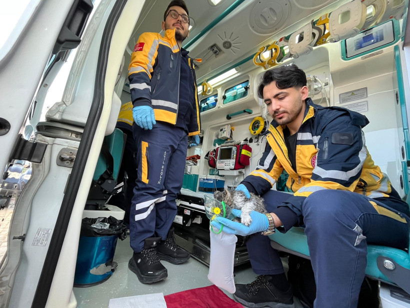 Yangında Mahsur Kalan Yavru Kedi Kurtarıldı - Resim : 1