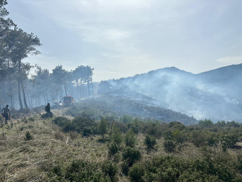 Aydın'da Çıkan Yangın Kontrol Altına Alındı - Resim : 1