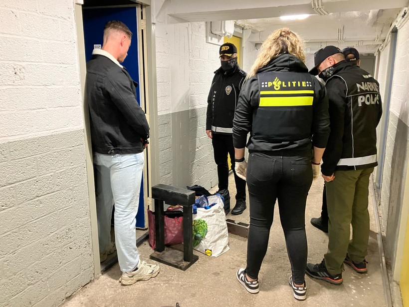 Dört Suç Örgütüne 'Orkinos' Operasyonunda Yeni Ayrıntılar: Kripto Konuşmalar Çözüldü, 5 Ülkede Birden Aynı Anda Harekete Geçildi - Resim : 2