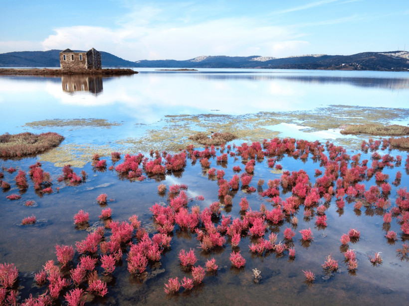 Muğla’da Ekolojik Katliam Alarmı! Ağaoğlu ve Doğuş Holding'in Projeleri Bargilya Tuzlası'nı Yok Ediyor - Resim : 1