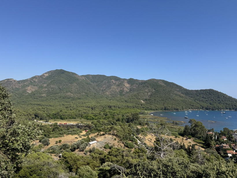 Ormanlarımız Yine Alev Alev... 6 İlde Yangınlar Kontrol Altına Alındı - Resim : 4