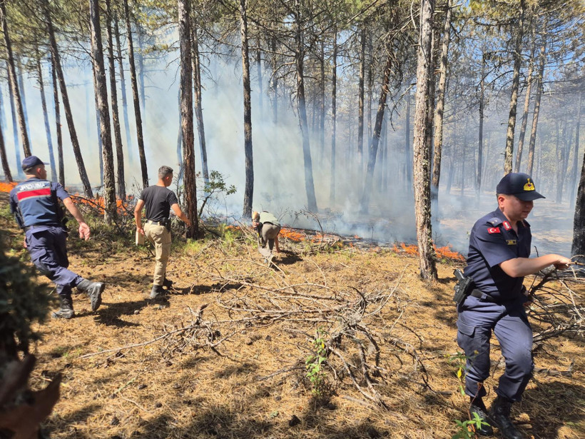 Kızıl Kabus 8 İli Sardı! Bakan Yumaklı Son Durumu Açıkladı! Sakarya'da Bir Yeni Yangın Daha - Resim : 11