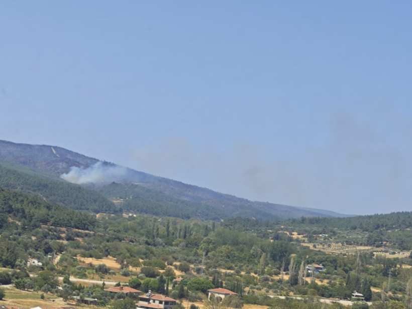 Yine Orman Yangını Çıktı: Çanakkale'de Tahliyeler Başladı - Resim : 7