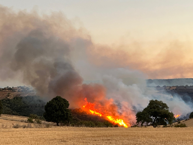 Susurluk'ta Orman Yangını - Resim : 1