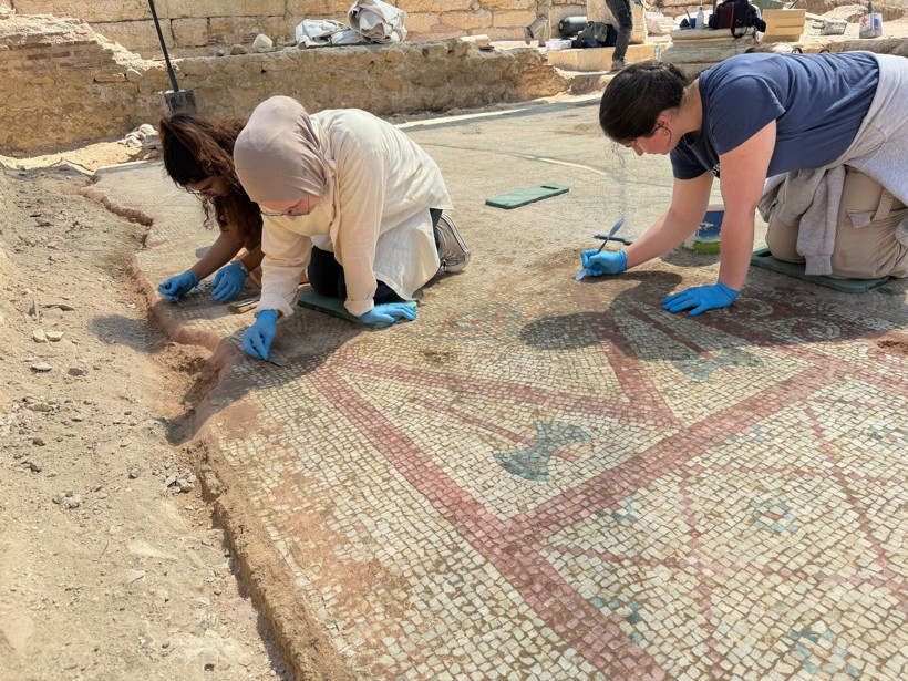 Karadeniz’in Efes’inde 1700 Yıllık İhtişam: 105 Metrekarelik Mozaik ve Eros Başı Bulundu - Resim : 1