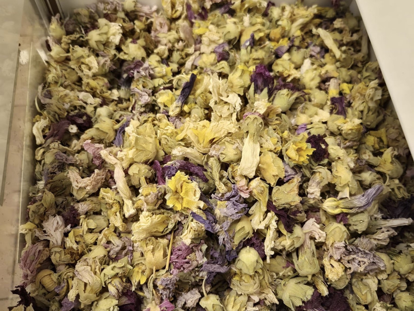 Kışın Gizli Şifası! Öksürüğü Geçiriyor, Sütle Kaynatmak Yeterli - Resim : 1