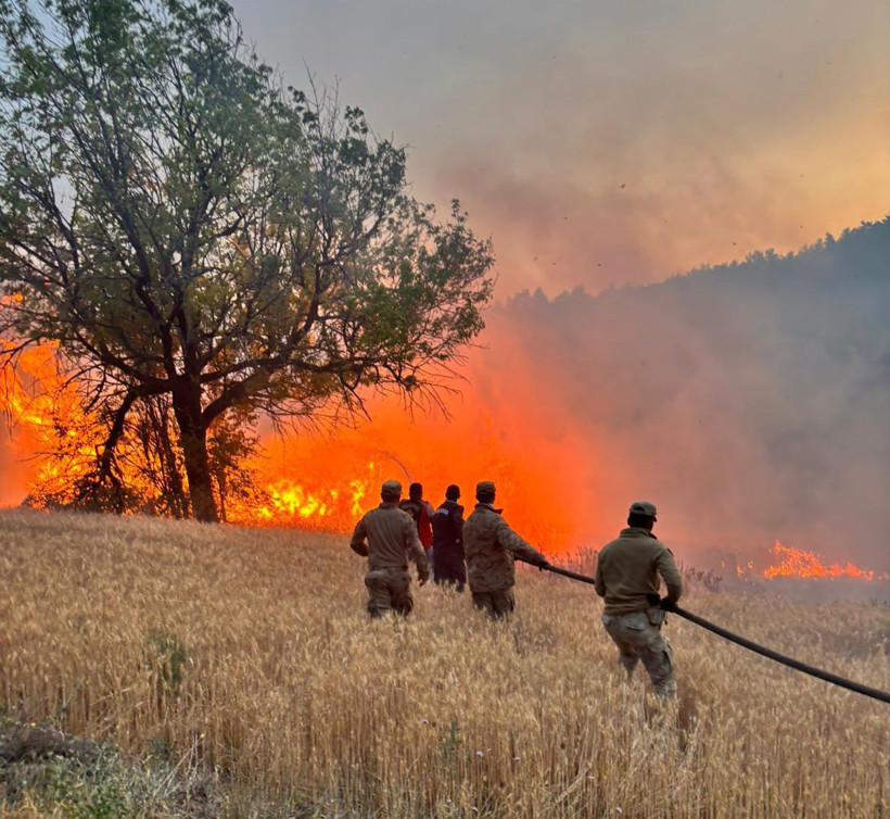 Kızıl Kabus 8 İli Sardı! Bakan Yumaklı Son Durumu Açıkladı! Sakarya'da Bir Yeni Yangın Daha - Resim : 13