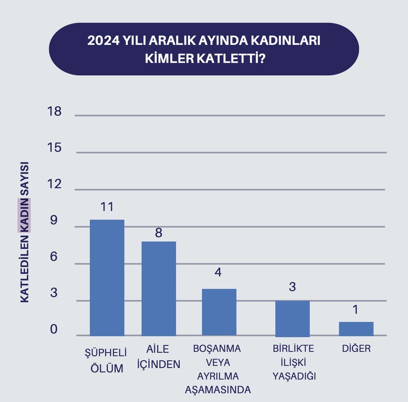 Türkiye Kadın Dernekleri Federasyonu Açıkladı: Erkekler 2024'te En Az 420 Kadını Katletti - Resim : 3