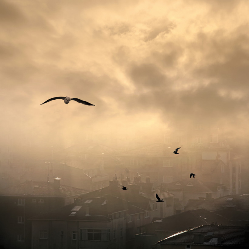 Sultangazi Alarm Veriyor, Üsküdar Rekor Kırdı: İşte İstanbul'un Havası En Temiz Noktası - Resim : 3