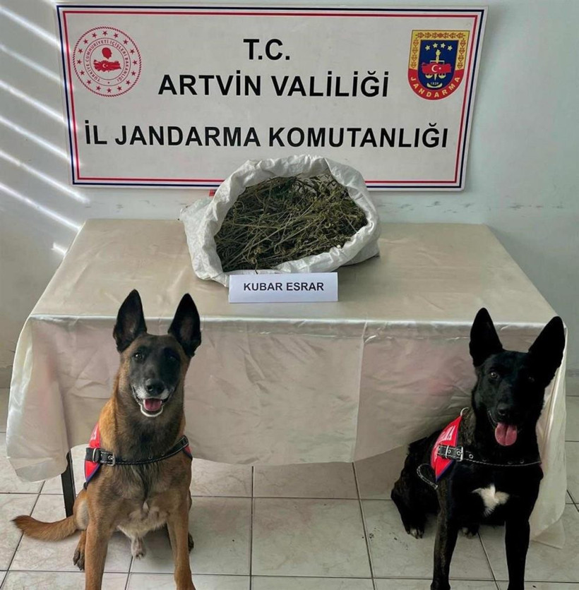 Artvin’de Zehir Tacirlerine Operasyon - Resim : 1