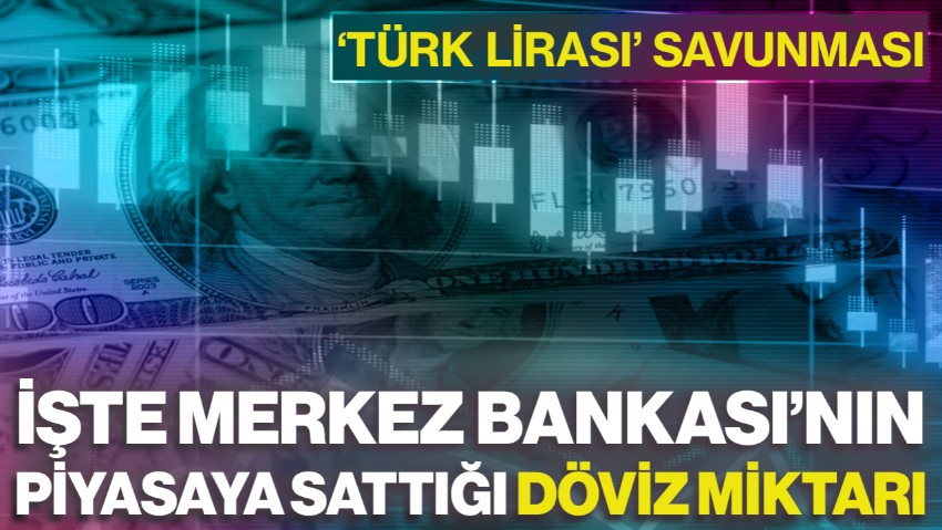Merkez Bankası’nın TL’yi Tutma Çabası! Herkes Bunu Merak Ediyordu: Tek Günde 11,2 Milyar Dolarlık Azalış