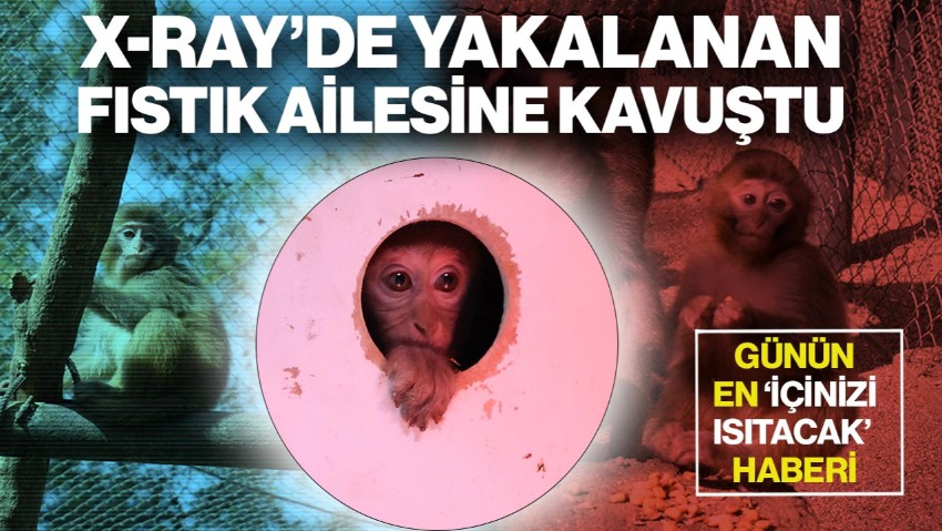 Antalya’da X-Ray’de Yakalanan ‘Fıstık’ Ailesine Kavuştu
