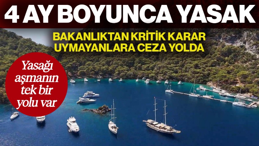 Bakanlıktan Kritik Karar! 4 Ay Boyunca Yasak... Uymayanlara Ceza Yolda