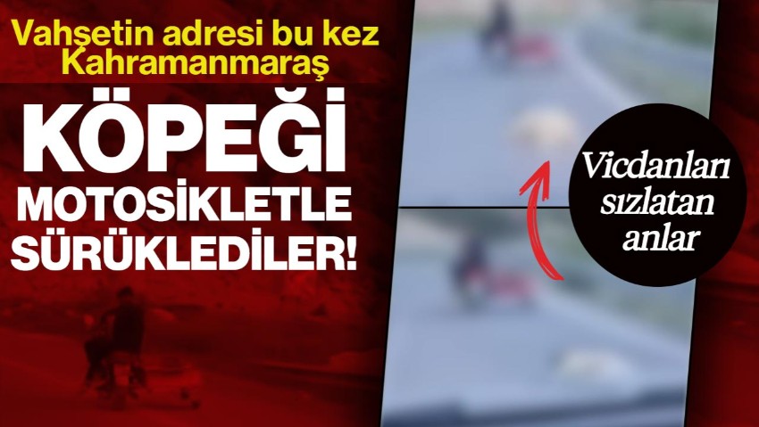 Vahşetin Adresi Bu Kez Kahramanmaraş… Köpeği Motosikletle Sürüklediler!
