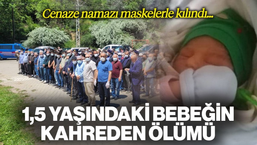 1,5 Yaşındaki Metehan'ın Kahreden Ölümü: Kene Isırdı, Tüm Müdahalelere Rağmen Kurtarılamadı