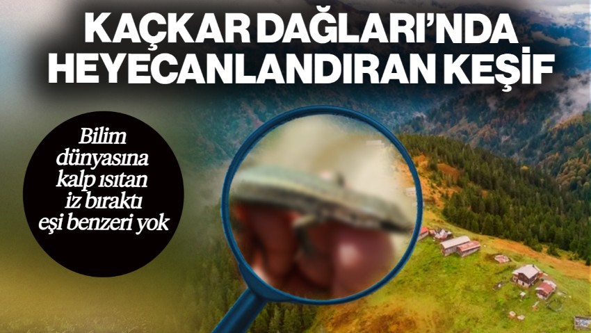 Kaçkar Dağları’nda Heyecanlandıran Keşif! Bilim Dünyasına Kalp Isıtan İz Bıraktı… Eşi Benzeri Yok