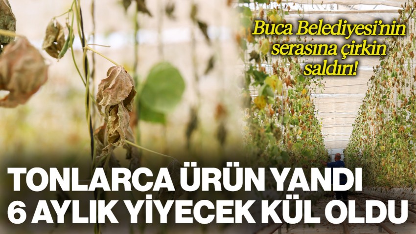 Buca Belediyesi’nin Serasına Çirkin Saldırı! Tonlarca Ürün Yandı, 6 Aylık Yiyecek Kül Oldu