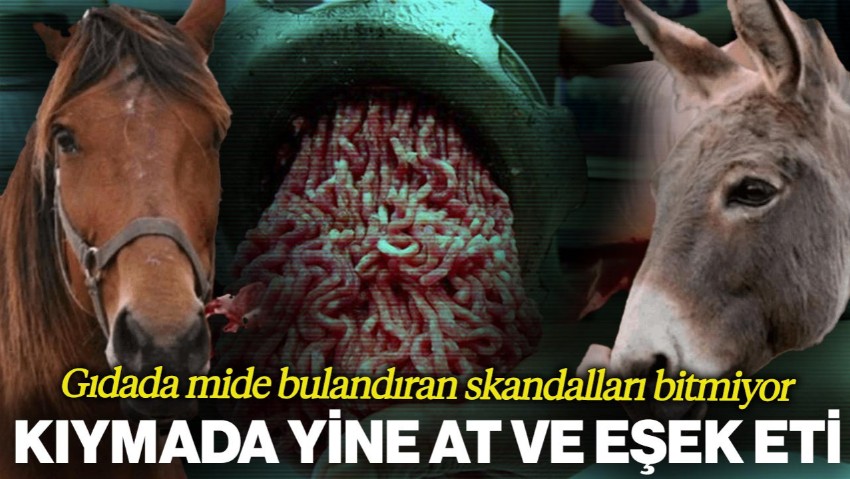 Bakanlık Tek Tek İfşa Etti: Kıymada Yine At ve Eşek Eti Skandalı