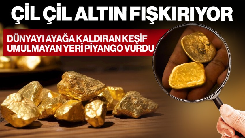 Dünyayı Ayağa Kaldıran Keşif! Çil Çil Altın Fışkırıyor, Hiç Akla Gelmeyen Yeri Piyango Vurdu