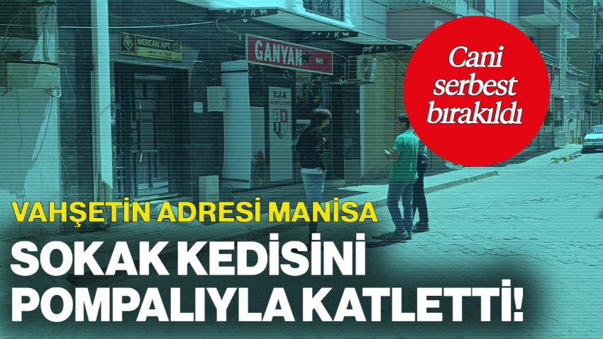 Vahşetin Adresi Manisa! Sokak Kedisini Pompalı Tüfekle Katletti, Serbest Bırakıldı
