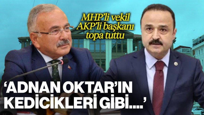 MHP'li Vekil AKP'li Başkanı Topa Tuttu: 'Adnan Oktar'ın Kedicikleri Gibi...'