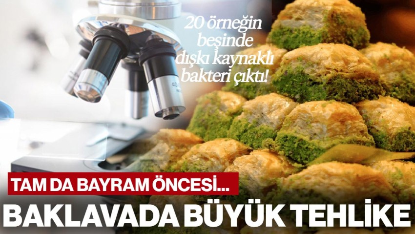 Bayram Öncesi Dikkat Çeken Araştırma, Baklavada Büyük Tehlike! Dışkı Kaynaklı Bakteri Çıktı