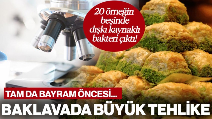 Bayram Öncesi Dikkat Çeken Araştırma, Baklavada Büyük Tehlike! Dışkı Kaynaklı Bakteri Çıktı