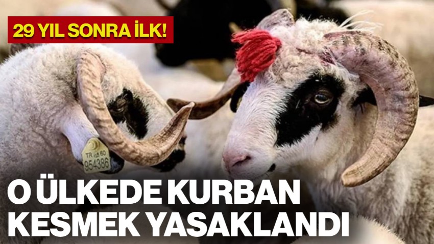 Fas'ta Kurban Kesmek Yasaklandı
