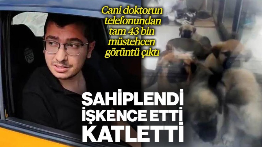 Sahiplendi, İşkence Etti, Katletti... Cani Doktorun Telefonundan Tam 43 Bin Müstehcen Görüntü Çıktı