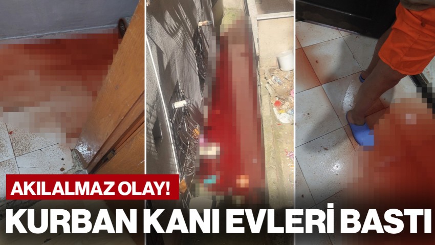 İstanbul'da Akılalmaz Olay: Kurban Kanı Evleri Bastı! 'Cinayet İşlendi Sandım' Tepkisi