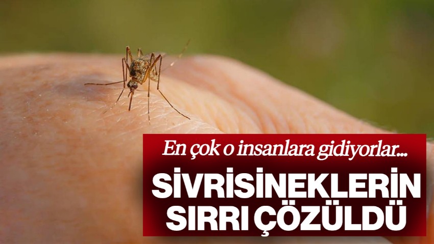 Sivrisineklerin Sırrı Çözüldü! Bazı İnsanları Neden Seçiyorlar... Bilim İnsanları Sebebini Buldu