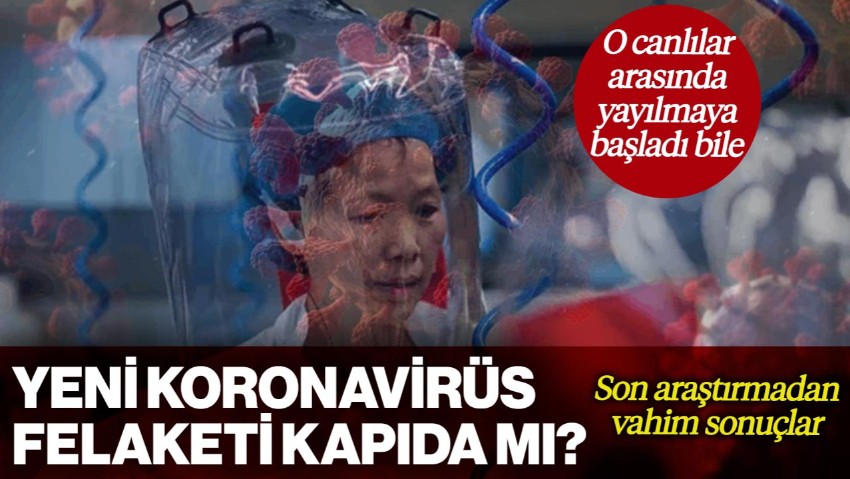 Yeni Koronavirüs Felaketi Kapıda mı? O Canlılar Arasında Yayılmaya Başladı Bile