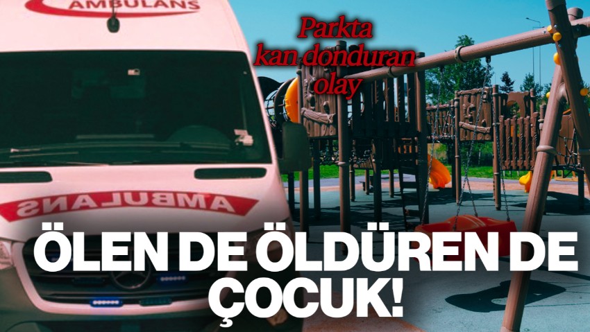 Bolu'da Vahşet: 13 Yaşındaki Çocuğun Yumruk Attığı 15 Yaşındaki Çocuk Hayatını Kaybetti