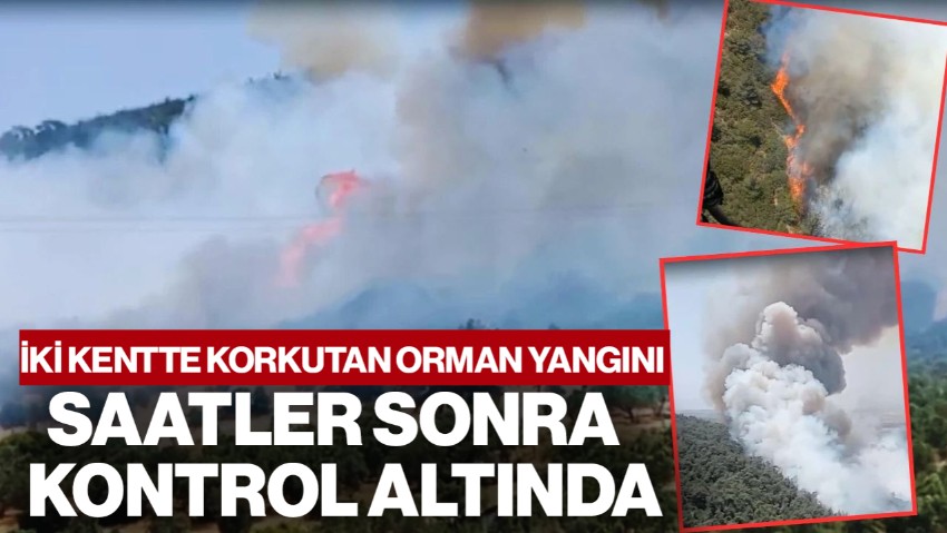 İzmir ve Aydın'da Orman Yangını: Saatler Sonra Kontrol Altına Alındı