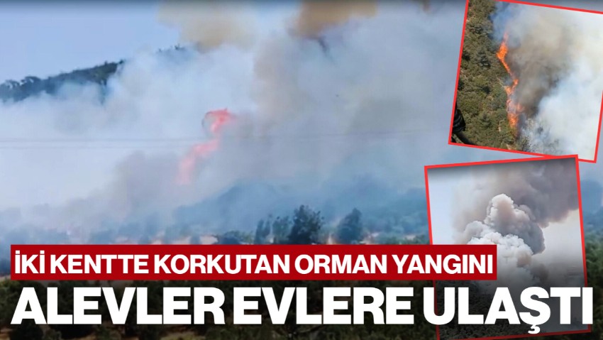 İzmir ve Aydın'da Orman Yangını: Alevler Evlere Ulaştı