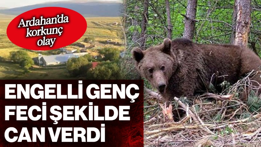 Ardahan'da Korkunç Olay! 20 Yaşındaki Engelli Genç Ayı Saldırısında Can Verdi